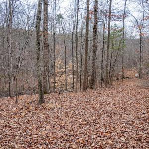 Photo #5 of Troublesome Creek Rd, Buckingham, VA 42.3 acres