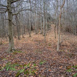 Photo #6 of Troublesome Creek Rd, Buckingham, VA 42.3 acres