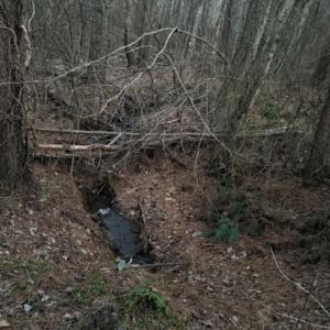 Photo #17 of Piney Mountain Road, Appomattox, VA 23.2 acres