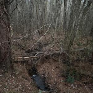 Photo #18 of Piney Mountain Road, Appomattox, VA 23.2 acres