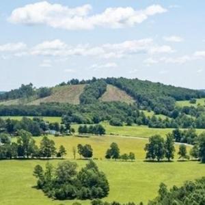 Photo #5 of Piney Mountain Road, Appomattox, VA 23.2 acres