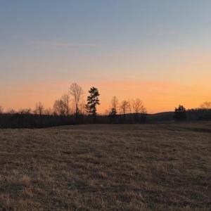 Photo #22 of Piney Mountain Road, Appomattox, VA 23.2 acres