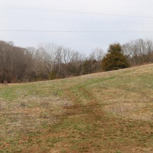 Photo #10 of 626 Holiday Lake Road, Appomattox, VA 12.2 acres