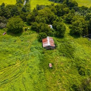 Photo #2 of 626 Holiday Lake Road, Appomattox, VA 12.2 acres