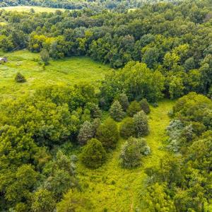 Photo #4 of 626 Holiday Lake Road, Appomattox, VA 12.2 acres