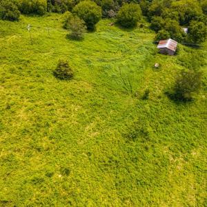 Photo #5 of 626 Holiday Lake Road, Appomattox, VA 12.2 acres