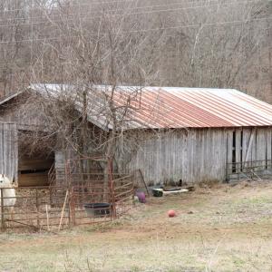 Photo #7 of 626 Holiday Lake Road, Appomattox, VA 12.2 acres