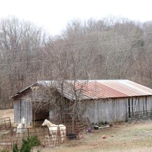 Photo #9 of 626 Holiday Lake Road, Appomattox, VA 12.2 acres