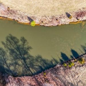 Photo #11 of 1237 Main Street, Dillwyn, VA 10.5 acres