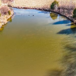 Photo #20 of 1237 Main Street, Dillwyn, VA 10.5 acres