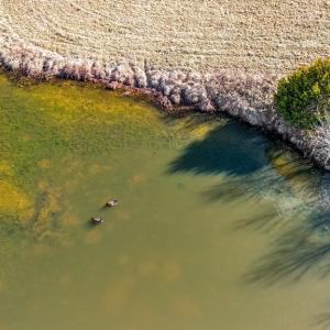 Photo #21 of 1237 Main Street, Dillwyn, VA 10.5 acres