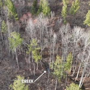 Photo #3 of Amelia Springs, Jetersville, VA 10.0 acres