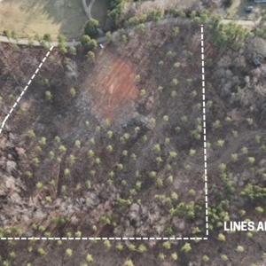 Photo #2 of Amelia Springs, Jetersville, VA 10.0 acres