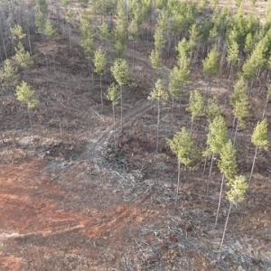 Photo #5 of Amelia Springs, Jetersville, VA 10.0 acres