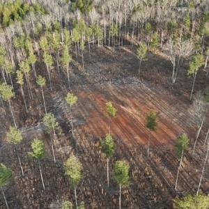 Photo #6 of Amelia Springs, Jetersville, VA 10.0 acres