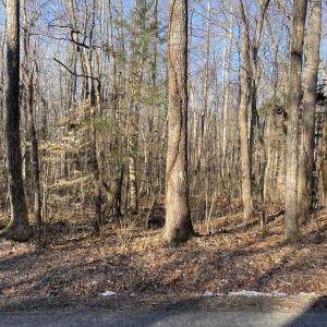 Photo #2 of 8.2AC Planterville Road, Drakes Branch, VA 8.2 acres