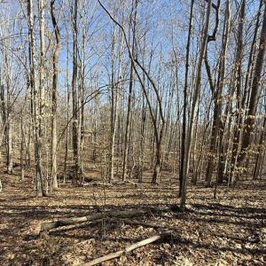 Photo #4 of 8.2AC Planterville Road, Drakes Branch, VA 8.2 acres