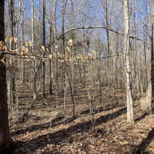 Photo #6 of 8.2AC Planterville Road, Drakes Branch, VA 8.2 acres