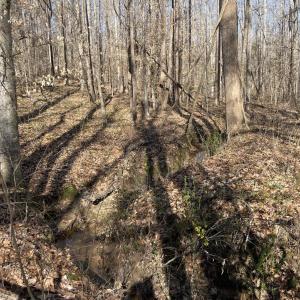 Photo #7 of 8.2AC Planterville Road, Drakes Branch, VA 8.2 acres