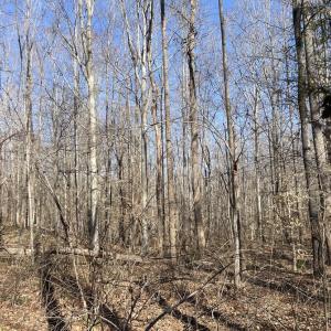 Photo #8 of 8.2AC Planterville Road, Drakes Branch, VA 8.2 acres