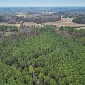 Photo #2 of Harristown Road, Warrenton, NC 33.0 acres