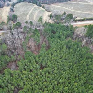 Photo #4 of Harristown Road, Warrenton, NC 33.0 acres