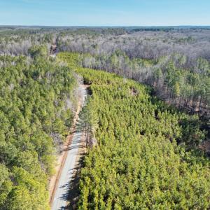 Photo #2 of St. Johns Church Road, Kenbridge, VA 46.6 acres