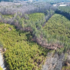 Photo #3 of St. Johns Church Road, Kenbridge, VA 46.6 acres