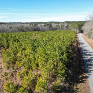 Photo #4 of St. Johns Church Road, Kenbridge, VA 46.6 acres