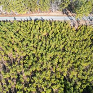 Photo #5 of St. Johns Church Road, Kenbridge, VA 46.6 acres