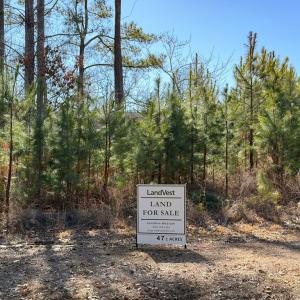 Photo #7 of St. Johns Church Road, Kenbridge, VA 46.6 acres