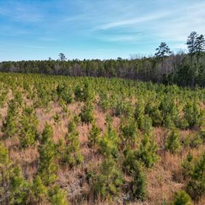 Photo #3 of Christanna Highway, Valentines, VA 46.0 acres