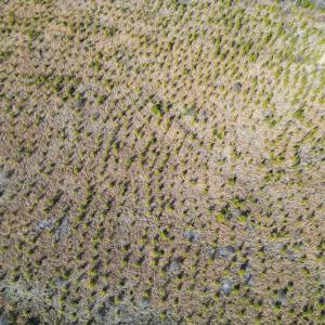 Photo #4 of Christanna Highway, Valentines, VA 46.0 acres