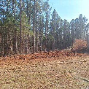 Photo #4 of Buffalo Drive, Buffalo Junction, VA 4.7 acres