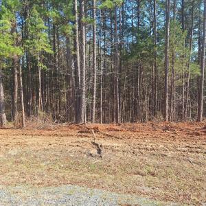 Photo #5 of Buffalo Drive, Buffalo Junction, VA 4.7 acres