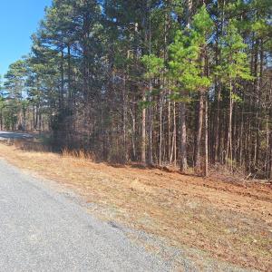 Photo #6 of Buffalo Drive, Buffalo Junction, VA 4.7 acres