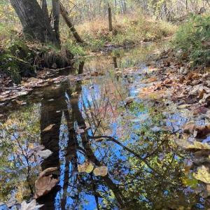 Photo #2 of 697 Austin Rd., Gladstone, VA 23.4 acres