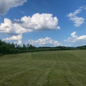 Photo #4 of 697 Austin Rd., Gladstone, VA 23.4 acres