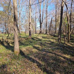 Photo #2 of Layne St, Farmville, VA 2.4 acres