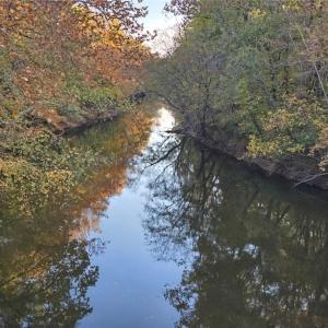 Photo #4 of Patrick Henry Hwy, Amelia, VA 13.2 acres