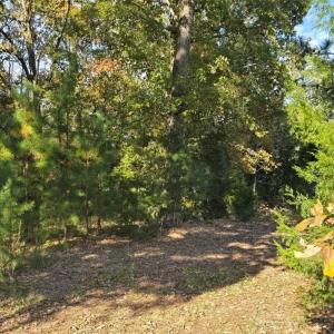 Photo #6 of Patrick Henry Hwy, Amelia, VA 13.2 acres