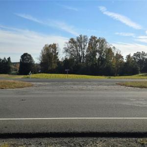 Photo #10 of Patrick Henry Hwy, Amelia, VA 13.2 acres