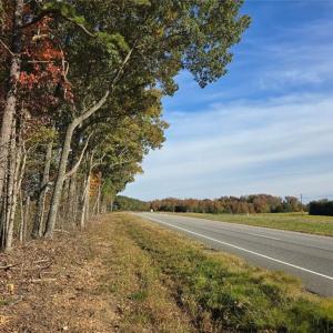 Photo #8 of Patrick Henry Hwy, Amelia, VA 13.2 acres