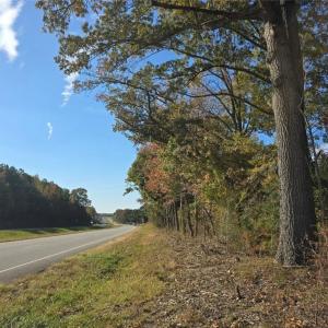 Photo #9 of Patrick Henry Hwy, Amelia, VA 13.2 acres