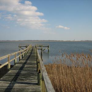 Photo #7 of Lot 17 OYSTER COVE LANE, ATLANTIC, VA 153.0 acres
