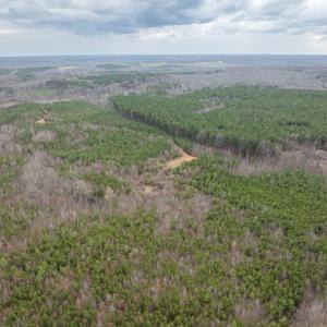 Photo #10 of Darlington Heights, Cullen, VA 92.5 acres