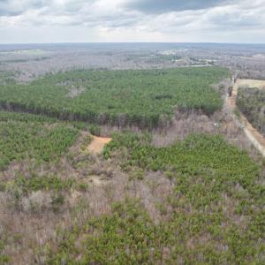 Photo #11 of Darlington Heights, Cullen, VA 92.5 acres