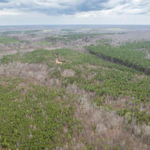 Photo #12 of Darlington Heights, Cullen, VA 92.5 acres