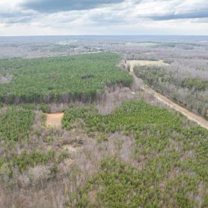 Photo #13 of Darlington Heights, Cullen, VA 92.5 acres