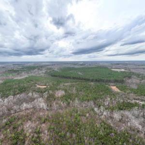 Photo #15 of Darlington Heights, Cullen, VA 92.5 acres